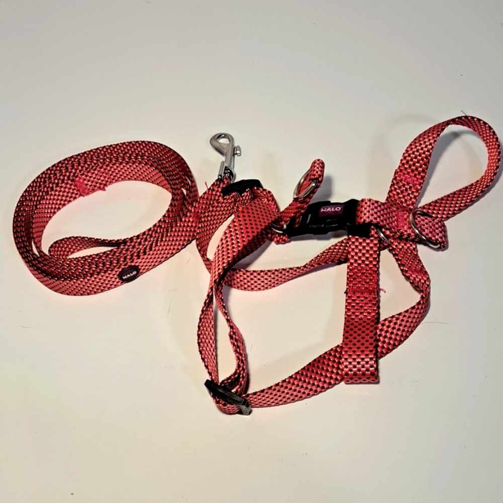 Dog Harness and Leash Set, EUC